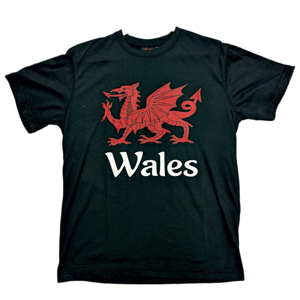Wales Cymru Adults Dragon T-Shirt 