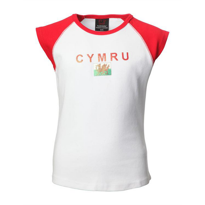 Wales Cymru Kids Cymru Flag T-Shirt
