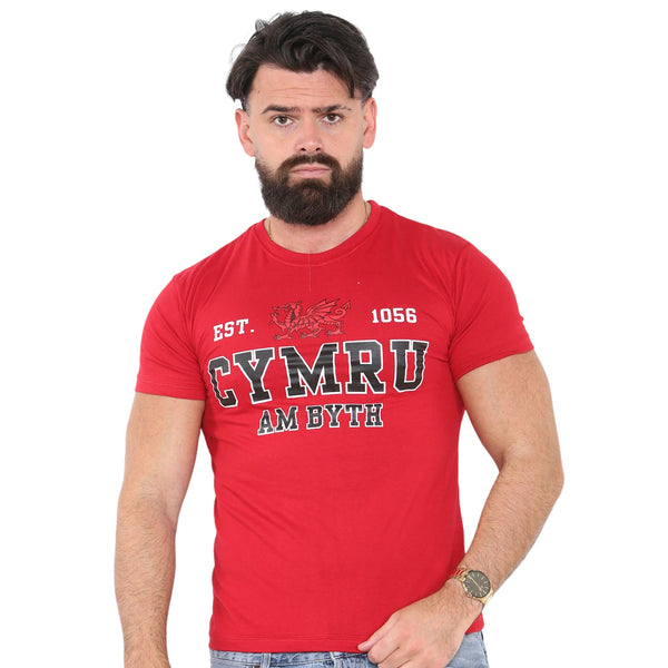 1056 Cymru Dragon T-Shirt