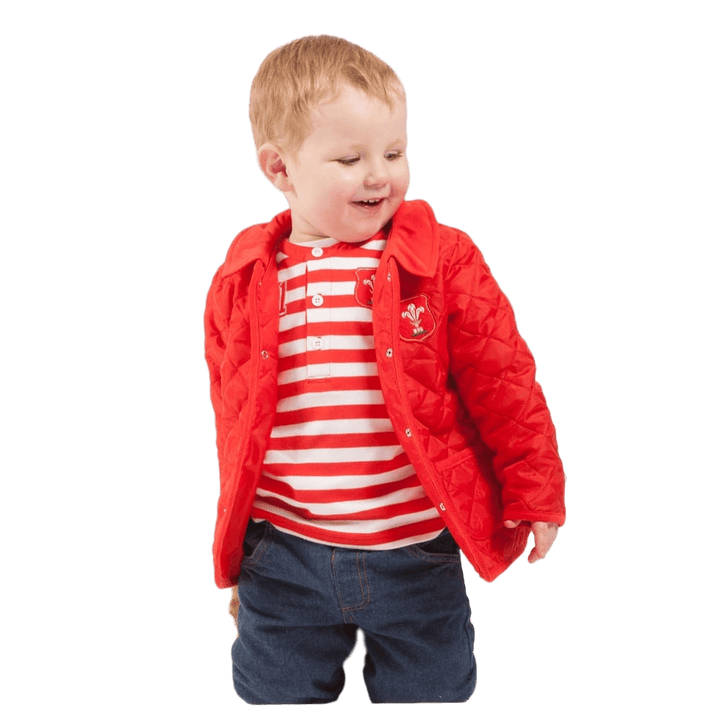 WRU Wales Baby Quilted Jacket