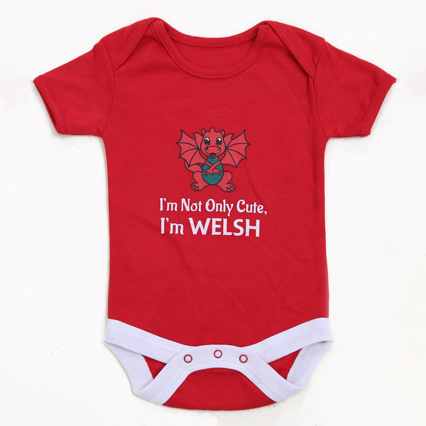 Baby I'm not only Cute I'm Welsh Wales Babygrow