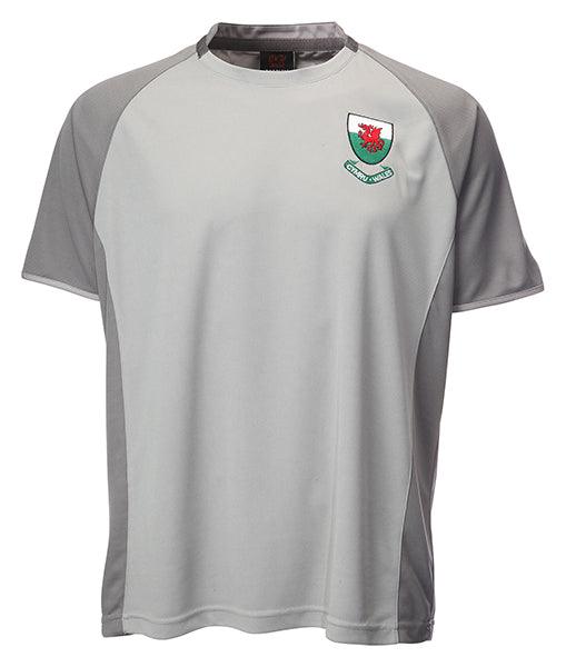 Kids Welsh Wales 'Ramsey' Grey Football T-Shirt