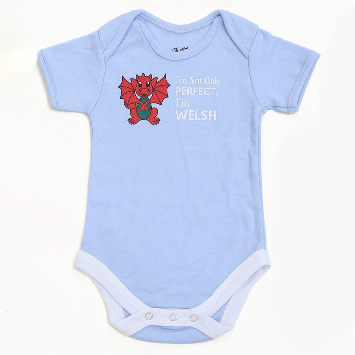 Baby I'm not only Perfect I'm Welsh Wales Babygrow
