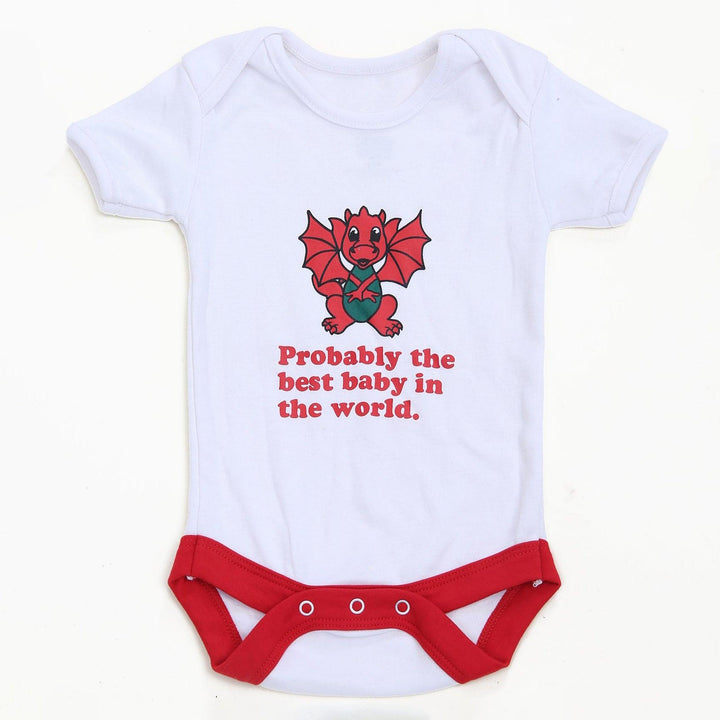 Baby Probably the best Baby in the World Babygrow