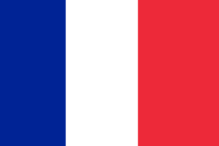 French Flag 5' x 3'