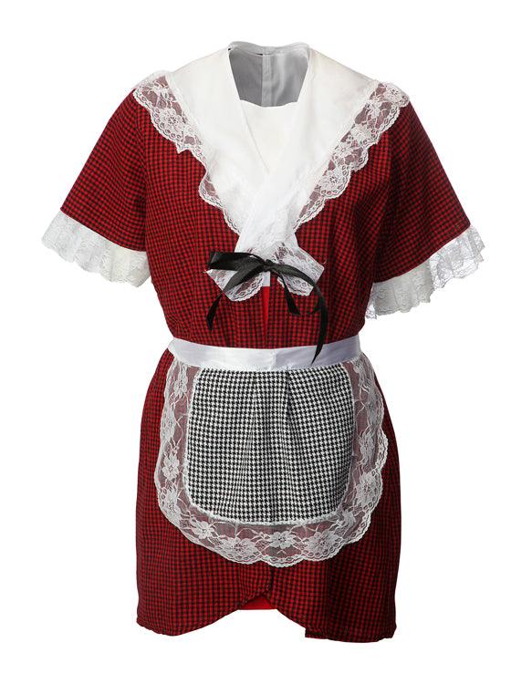 Womens Traditional Welsh Wales Costume